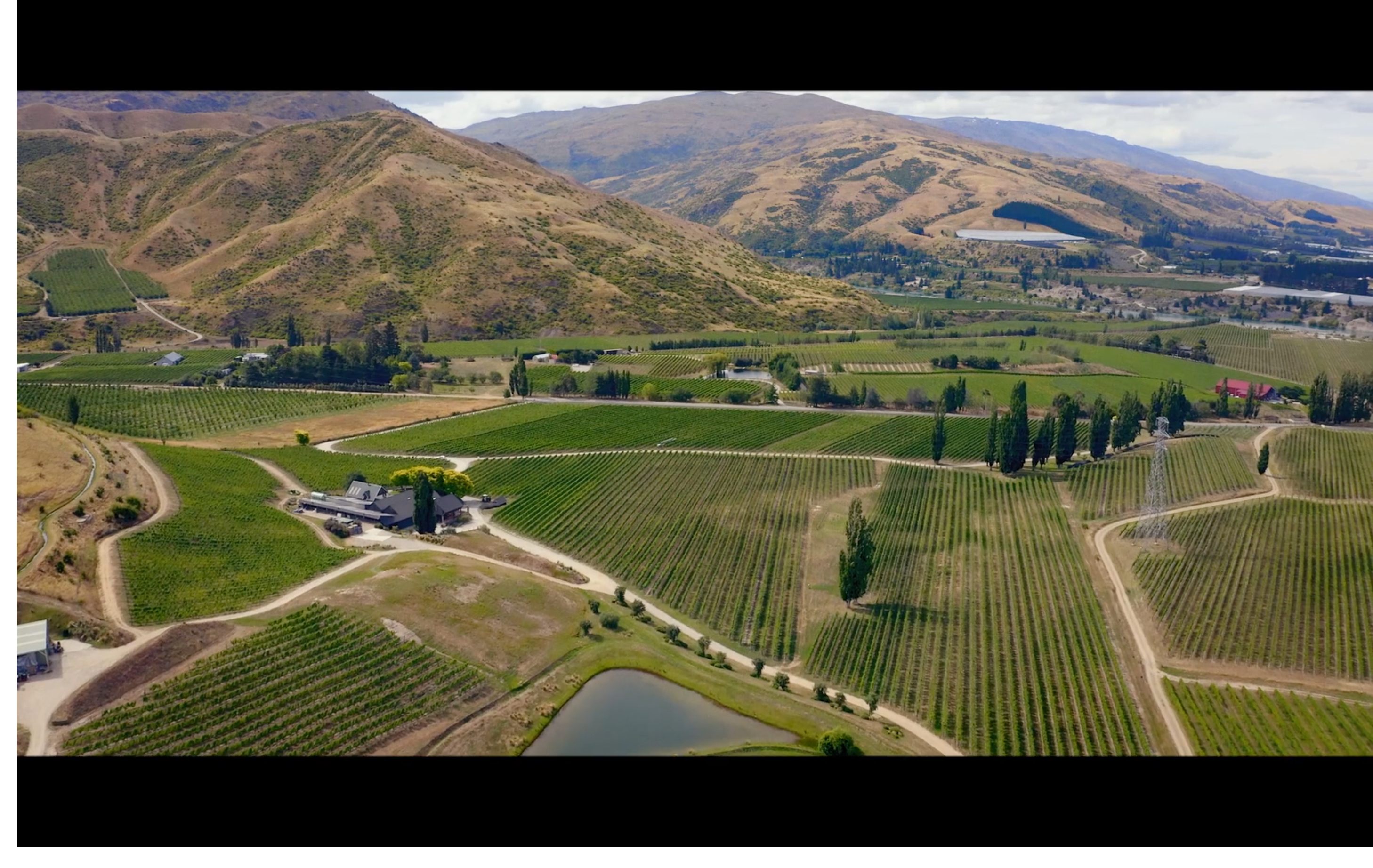 Nearly 25% of Central Otago's vineyards certified organic
