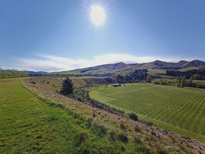 North Canterbury's great wine industry... lots to love