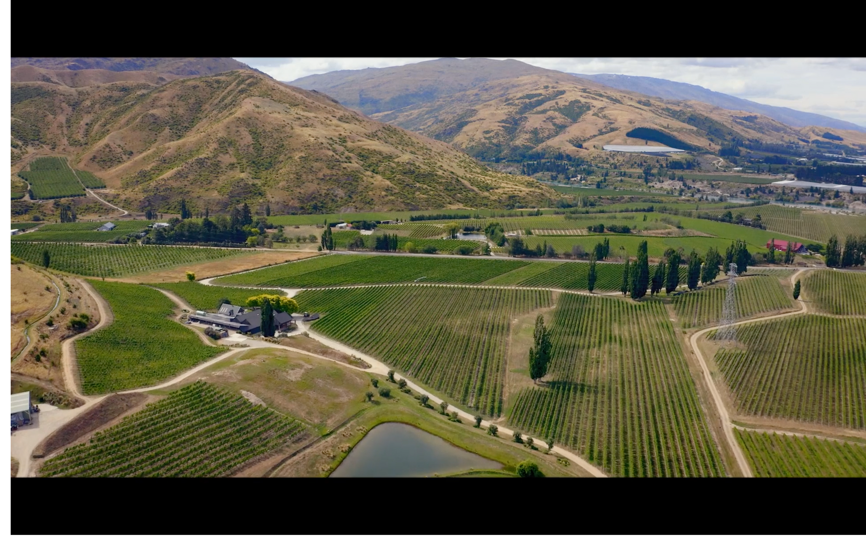 International Pinot Day 18 August