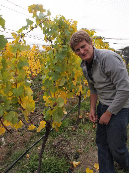 A rare type of winemaker - and a great investment