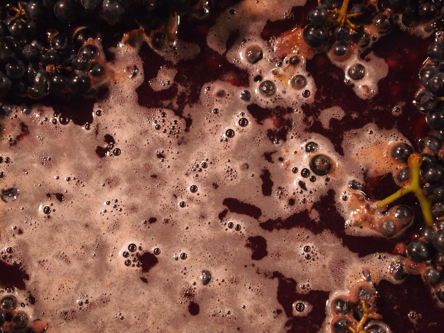 Organic Wine Week and what it's all about