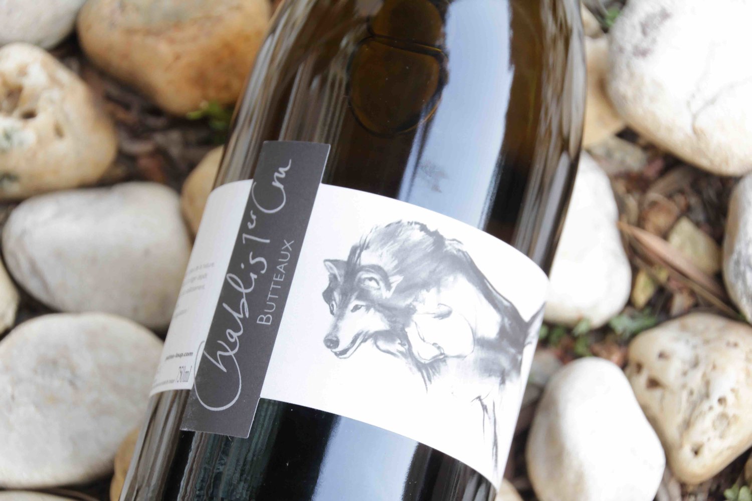 New Chablis from a new generation