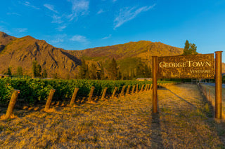 Art and wine from Central Otago