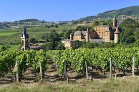 Will the real Beaujolais please stand up?