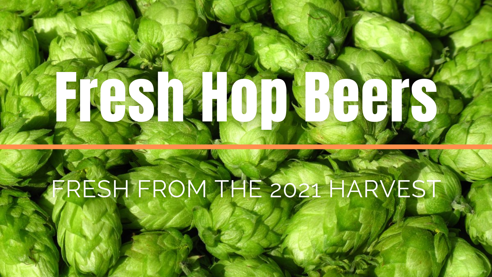 FRESH HOP 2021