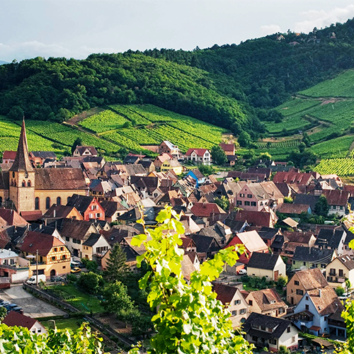 Alsace with Scott Hurrell from Maison Vauron - Wednesday 17 June, 6pm, $55