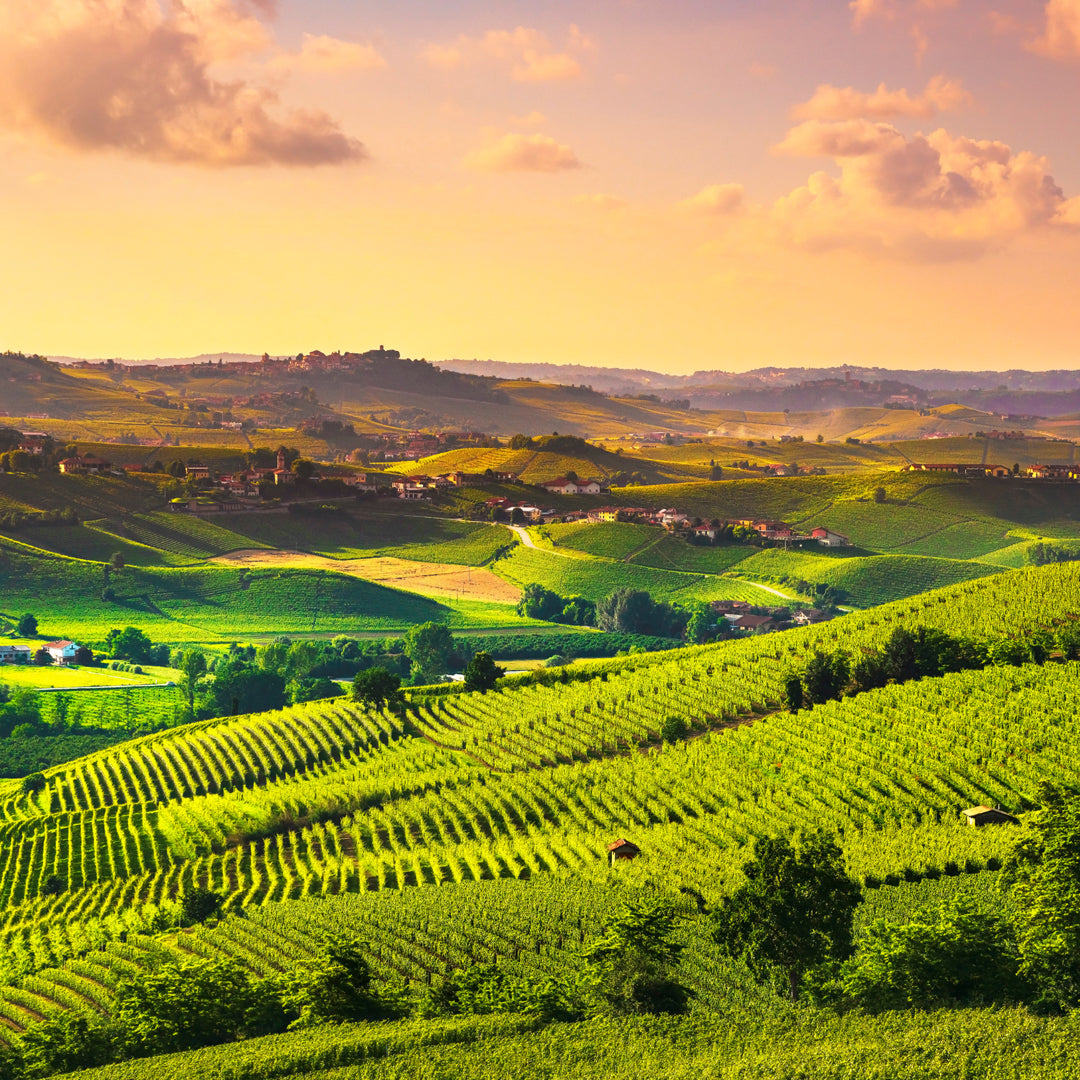 'Caldaroste' - Winter Chestnuts with Richard Klein & Blair Fryer from Artigiano Imports - Friday 29 August, 6pm, $40