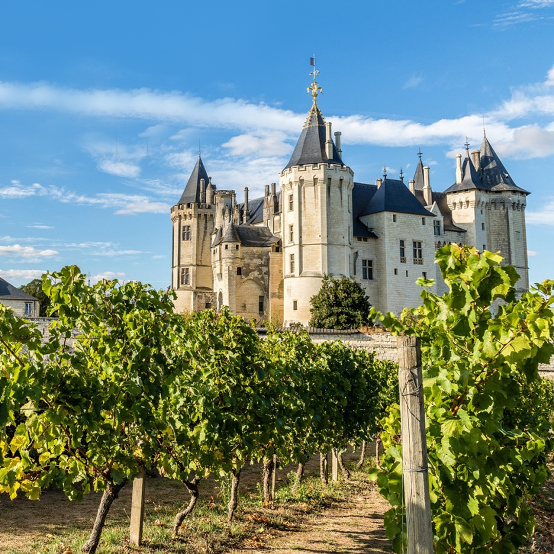 The Loire Valley with Scott Hurrell from Maison Vauron - Thursday 25 September, 6pm, $50