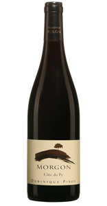 Piron Morgon Cote du Py 2021